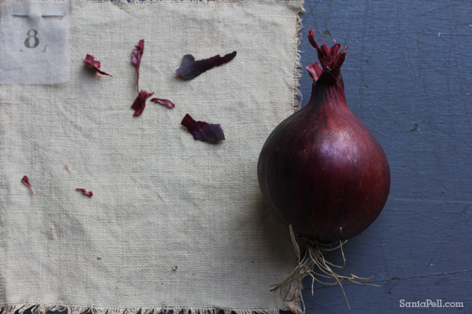 Homemade red onion dye by Sania Pell