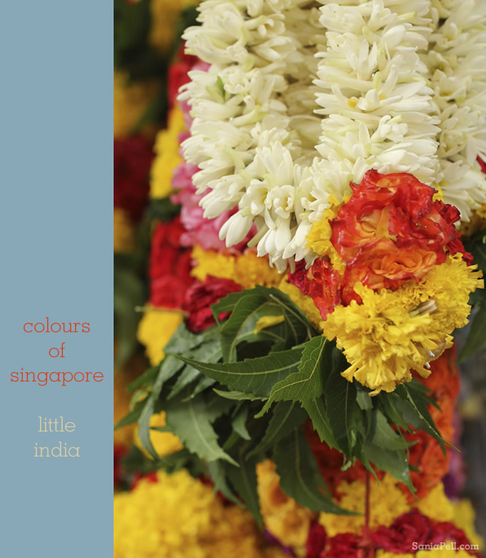 Sania Pell - Colours of Singapore: Little India