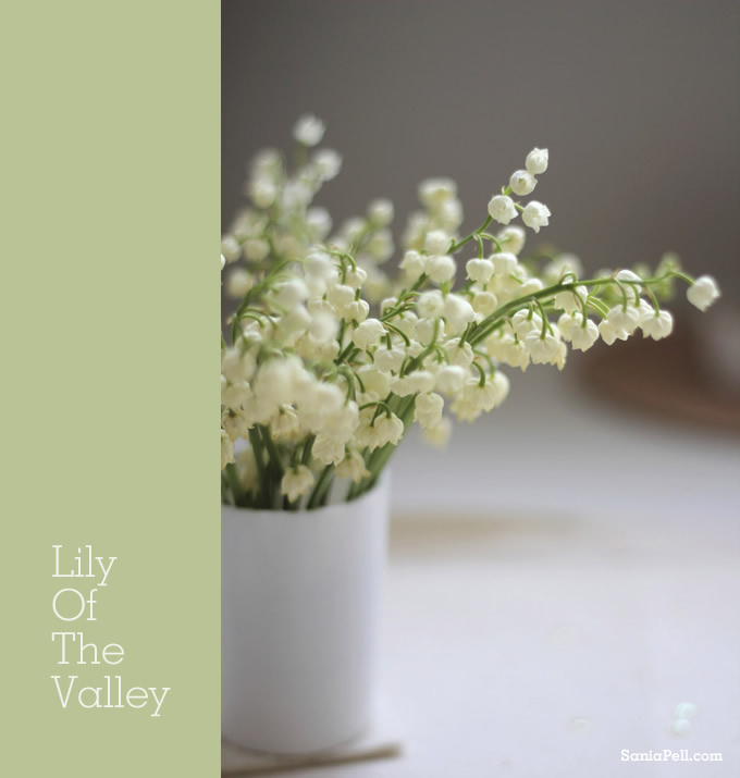lily-of-the-valley by Sania Pell