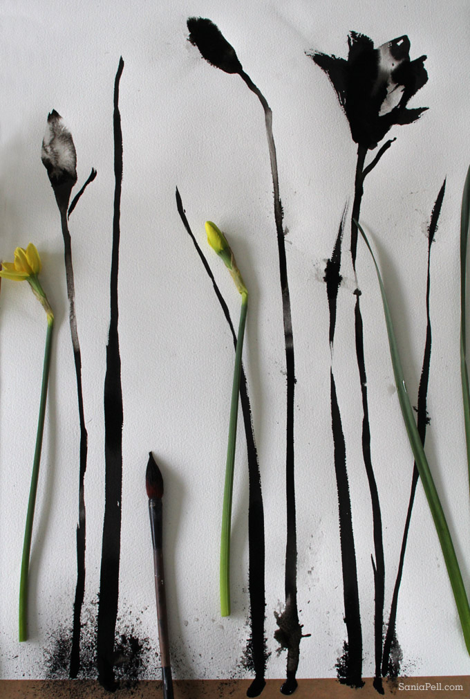 painted daffodils by Sania Pell