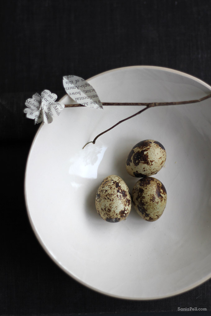 quail's eggs by Sania Pell