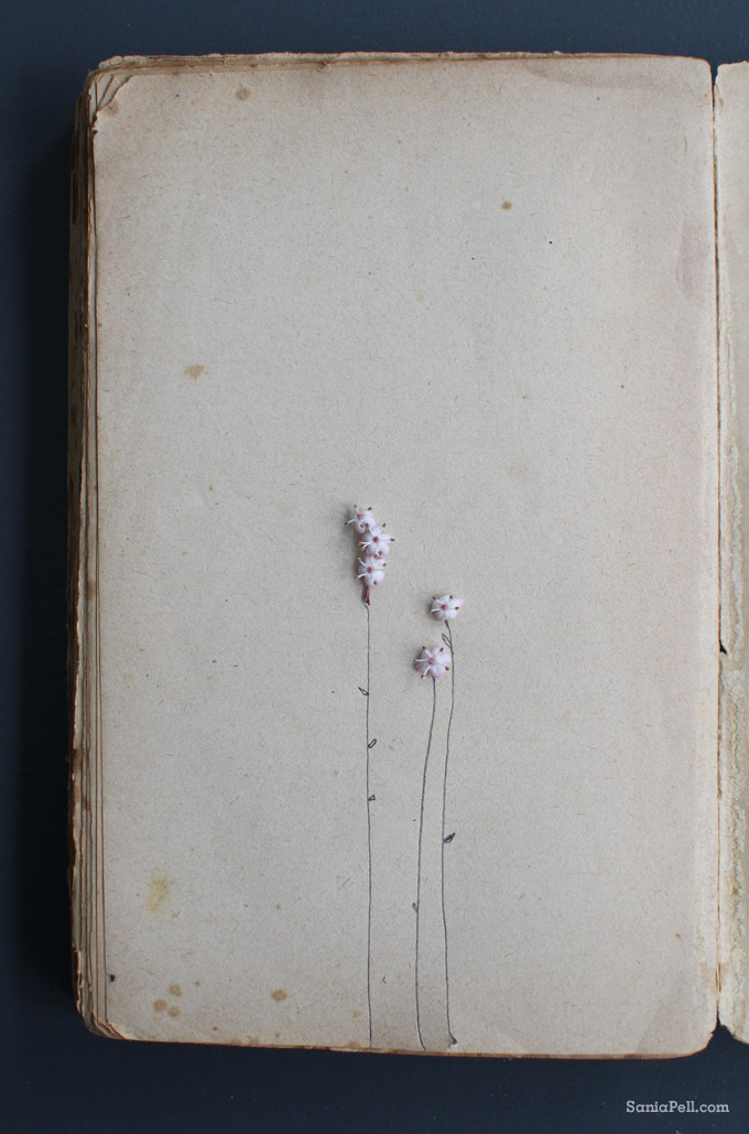drawn flowers on book by sania pell