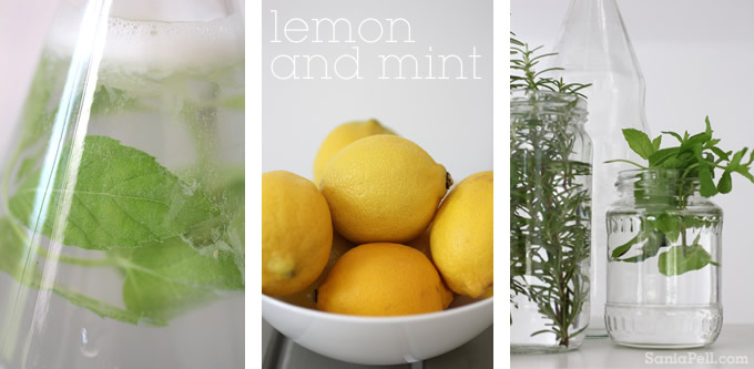 mint lemonade by Sania Pell