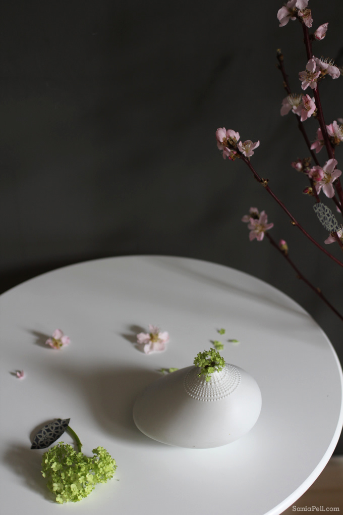 Spring blossom with Rosenthal vase by Sania Pell