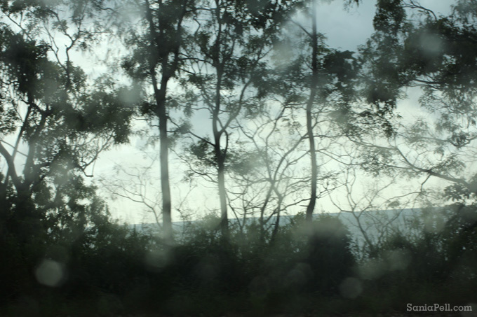 Landscape from the car by Sania Pell - Queensland, Australia