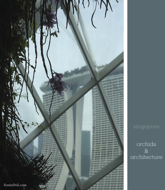 Orchids and architecture in Singapore by Sania Pell