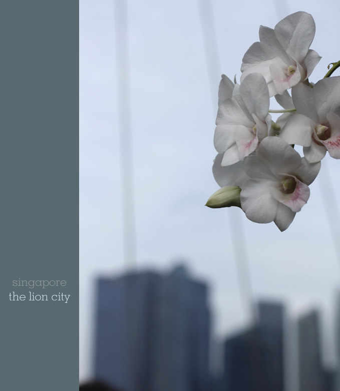 Orchids and architecture in Singapore - by Sania Pell