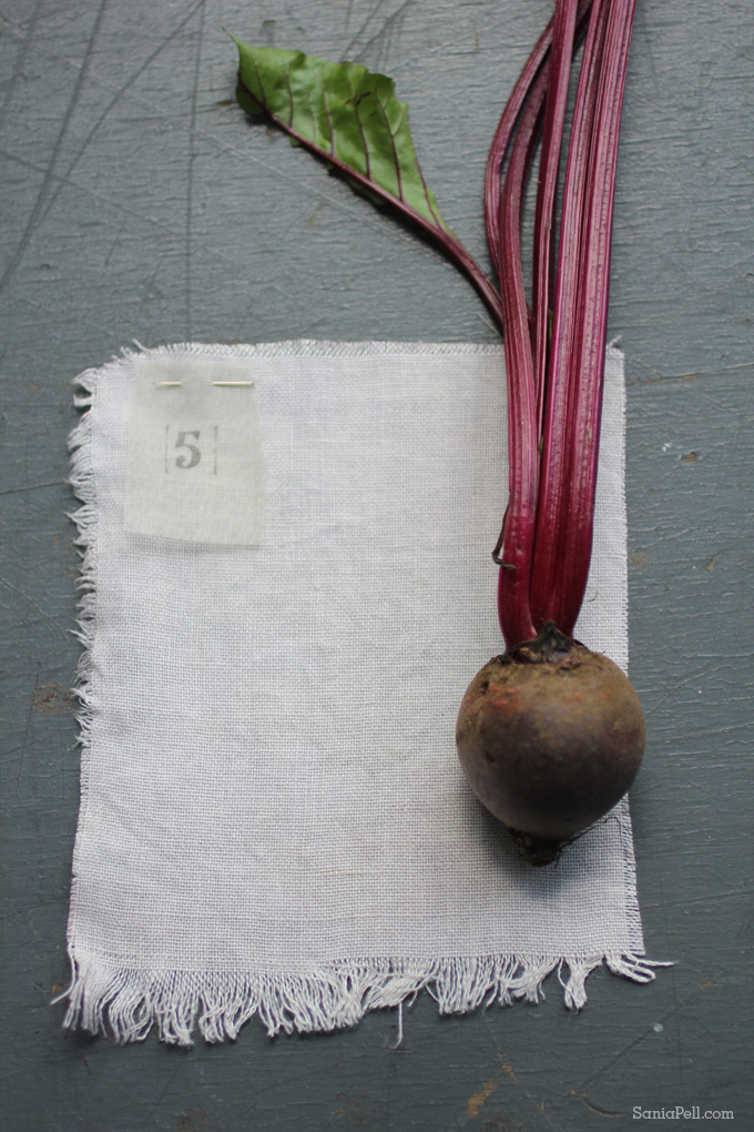 Homemade natural Beetroot dye by Sania Pell