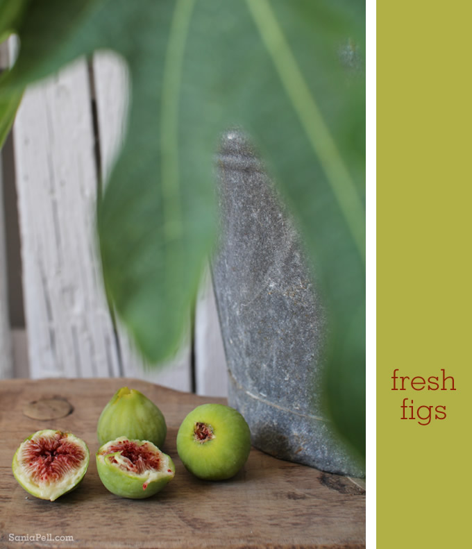 Homegrown figs in Croatia by Sania Pell