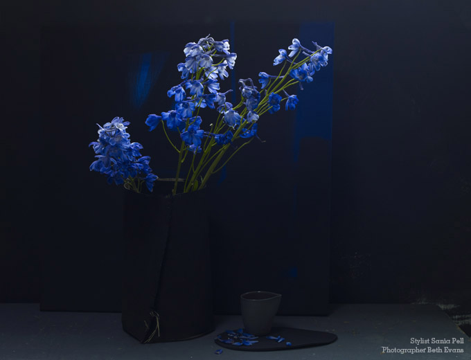 Black and Blue floral - Stylist Sania Pell, photographer Beth Evans