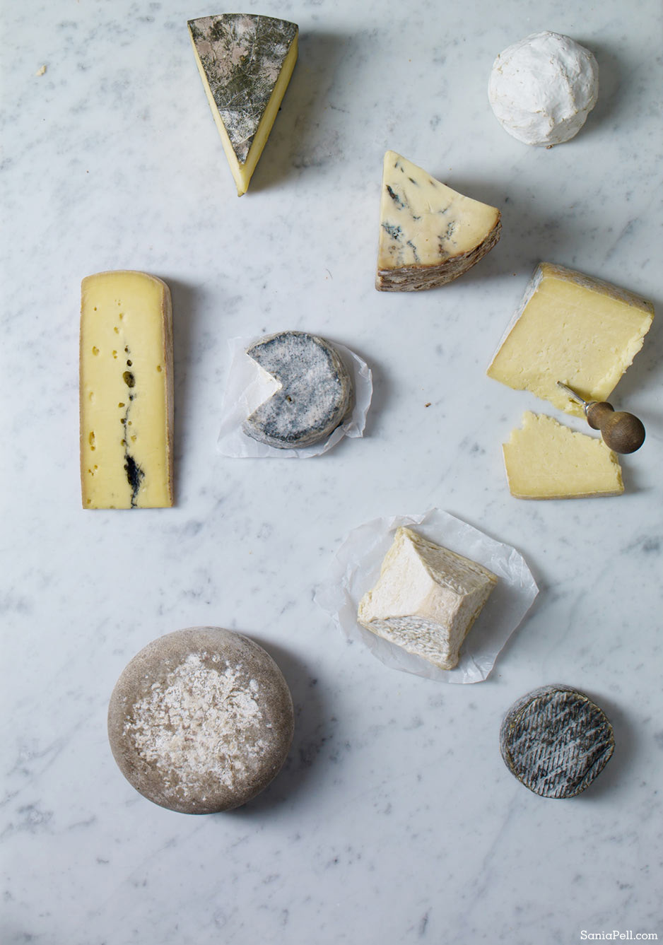 cheeses-that-pleases-light-13